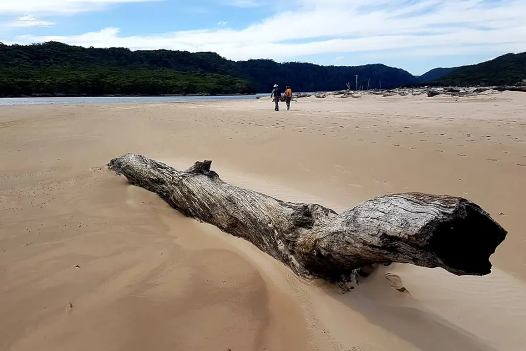 Tarkine-Walking-Tours-Tasmania-Gallery-13