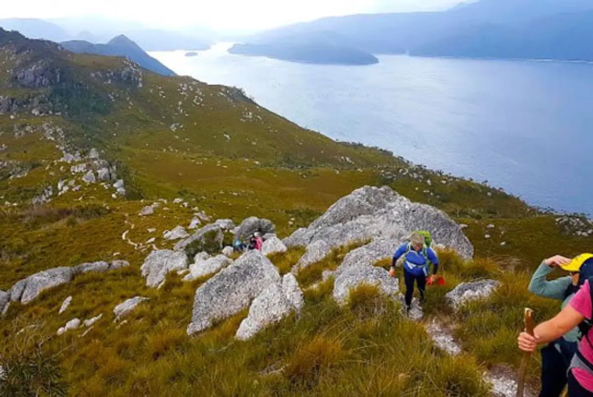 Tarkine Pack Free Walking Tours
